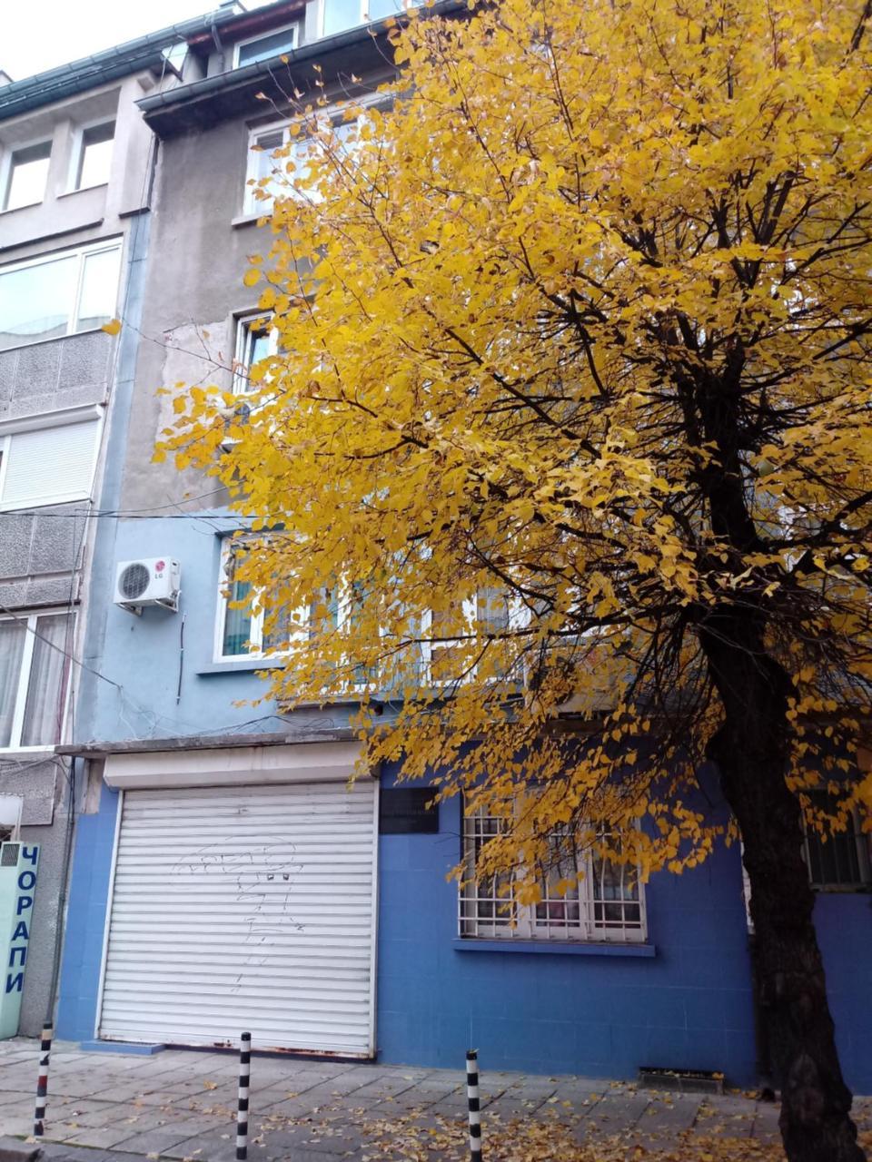 Atelier 9 - Art Mansard Studio Sofia Exterior photo